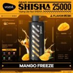 Vozol Shisha 25000 Puffs Dubai: The Ultimate High-Capacity Vape Experience